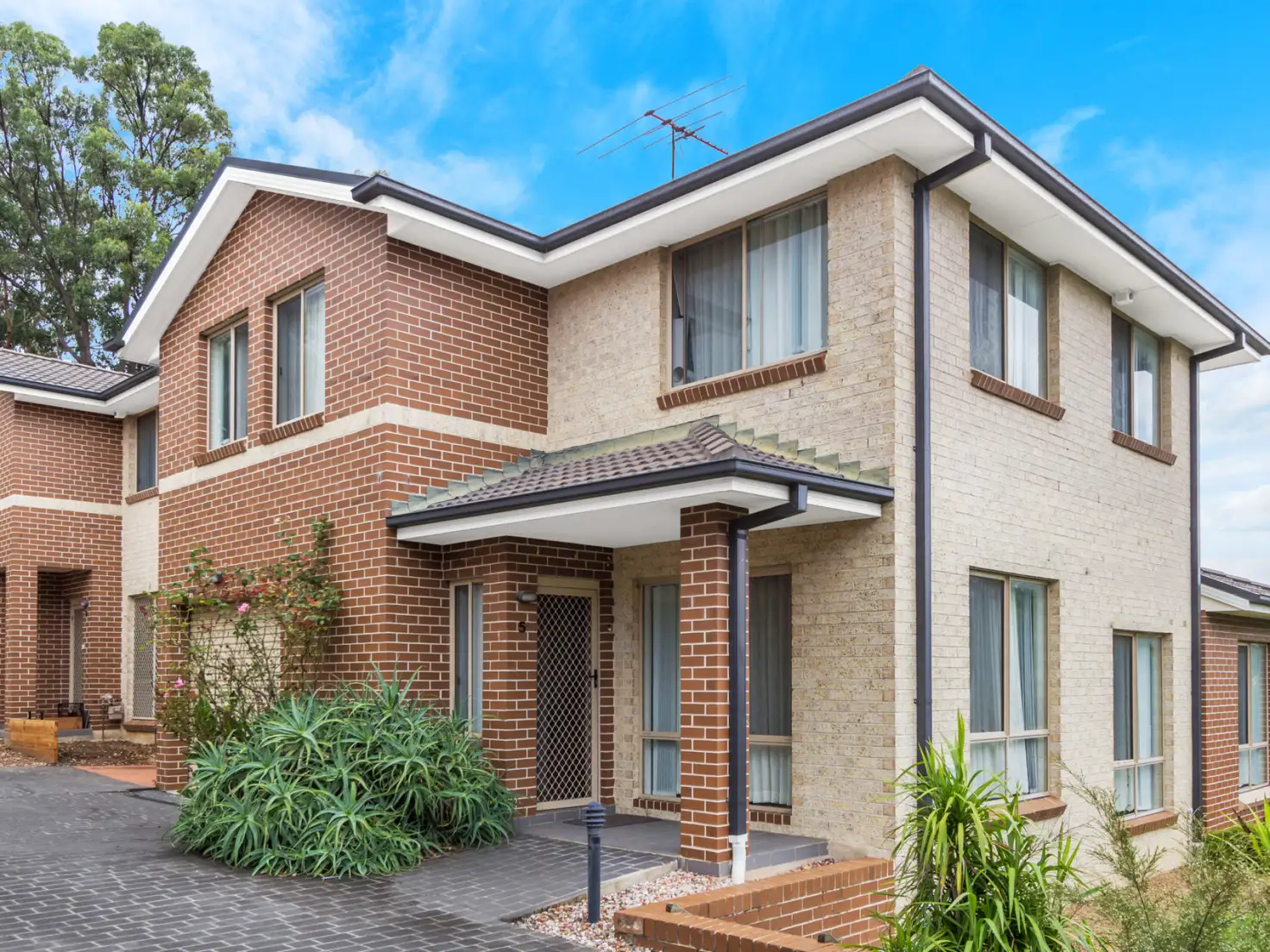 Main view of Homely townhouse listing, 5/29 Marcia Street, Toongabbie NSW 2146