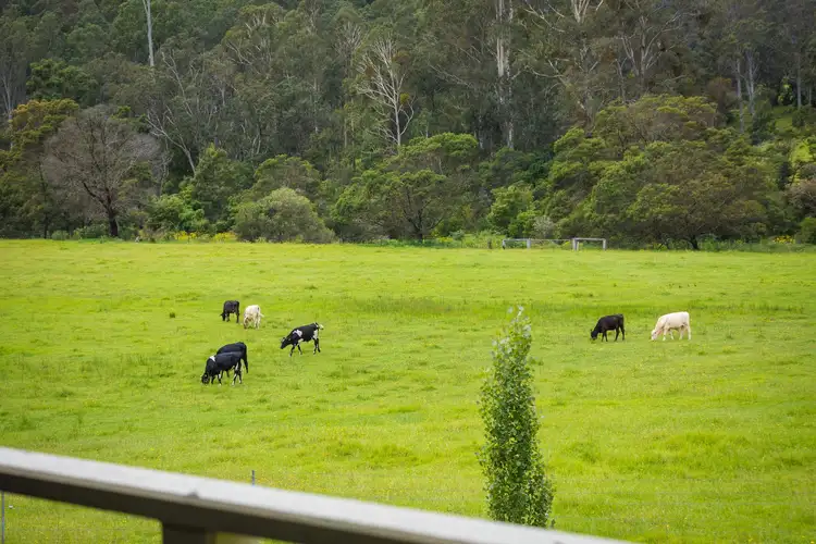 Sixth view of Homely house listing, 676 Mount Darragh Road, Lochiel NSW 2549