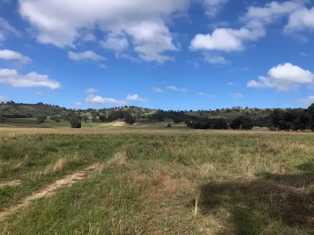 186 Back Brawlin Road, Cootamundra NSW 2590