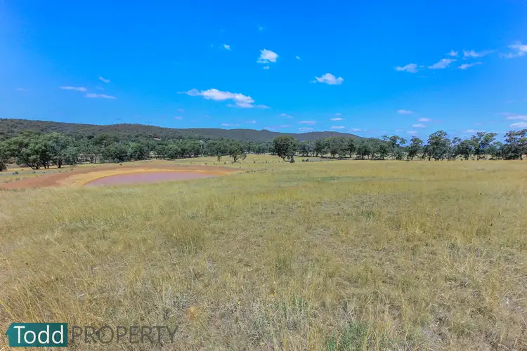 Third view of Homely rural property listing, LOT 3/58 Drummonds Lane, Heathcote VIC 3523