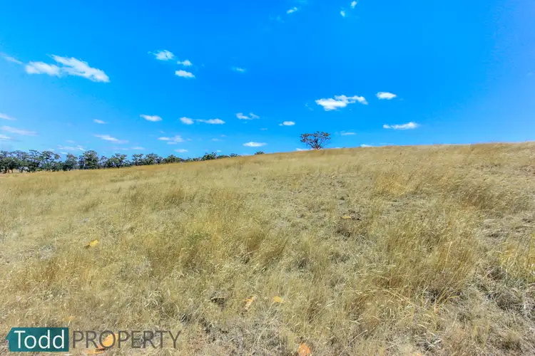 Fifth view of Homely rural property listing, LOT 3/58 Drummonds Lane, Heathcote VIC 3523