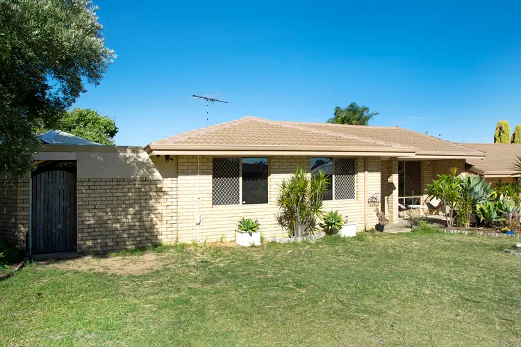 24A MARIANNE WAY, Alexander Heights WA 6064