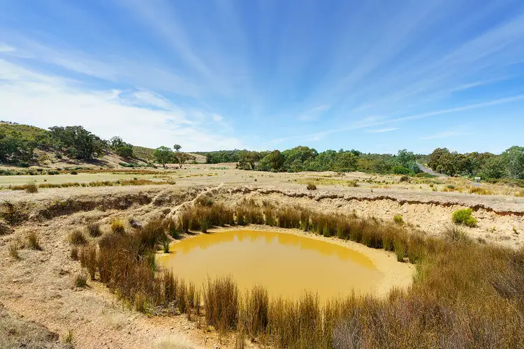 Sixth view of Homely land listing, 430 Campbells Creek-Fryers Road, Fryerstown VIC 3451