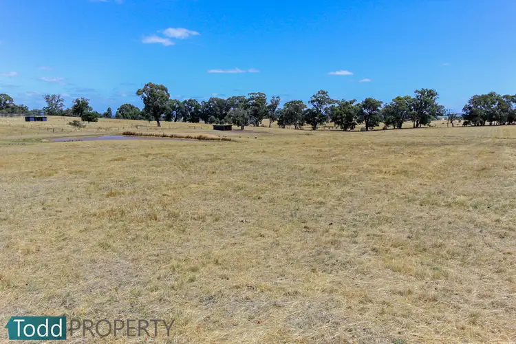 Fifth view of Homely rural property listing, 18 Tuscan Court, Heathcote VIC 3523