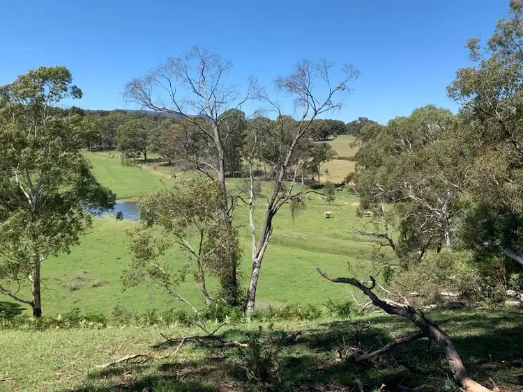 Second view of Homely rural property listing, 423 Coxs River Road, Kanimbla NSW 2790