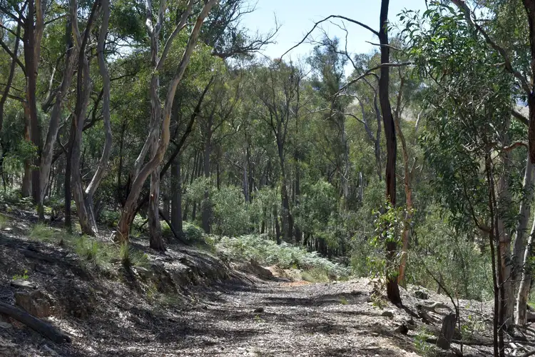 Third view of Homely rural property listing, 37 Phoenix Road, Currawang NSW 2580