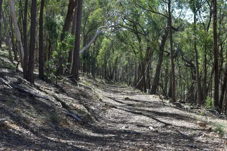 Fifth view of Homely rural property listing, 37 Phoenix Road, Currawang NSW 2580