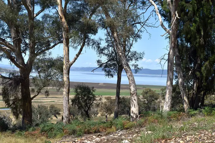 Sixth view of Homely rural property listing, 37 Phoenix Road, Currawang NSW 2580