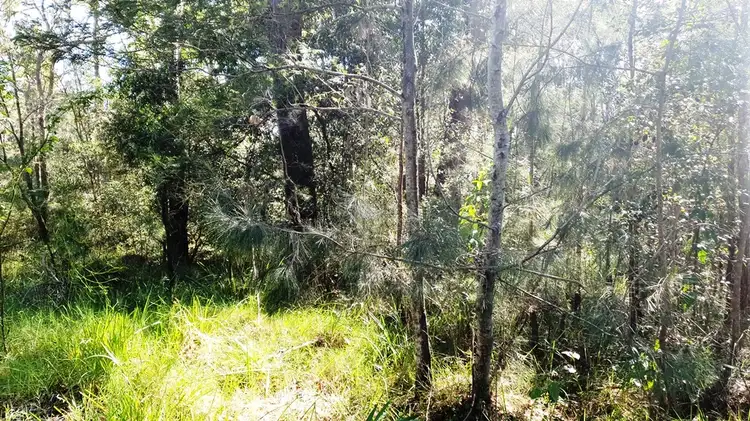 LOT 577/577 Lusitania Avenue, Basin View NSW 2540