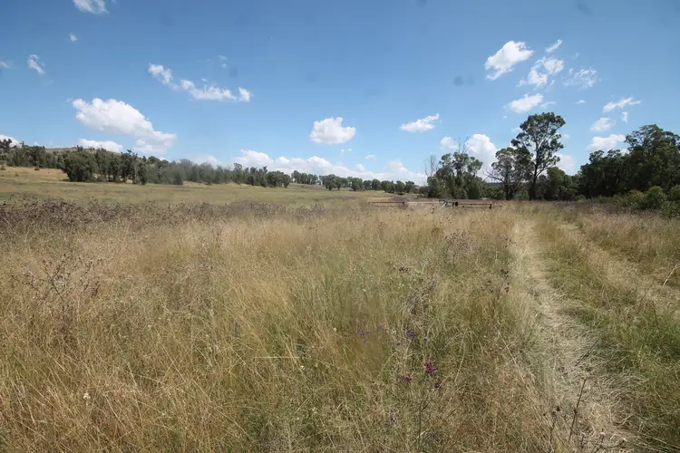 450 CAINBIL ROAD, Uarbry NSW 2329