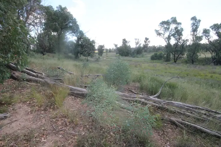 Fourth view of Homely rural property listing, 450 CAINBIL ROAD, Uarbry NSW 2329