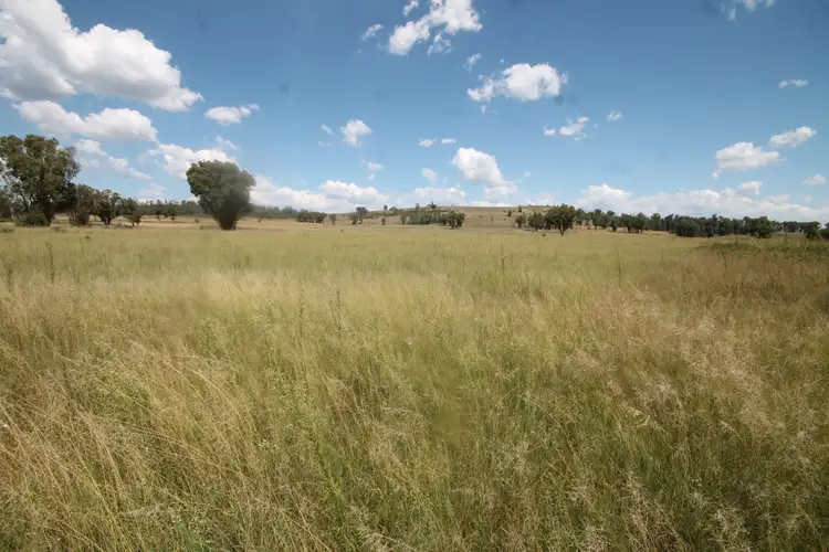 Seventh view of Homely rural property listing, 450 CAINBIL ROAD, Uarbry NSW 2329