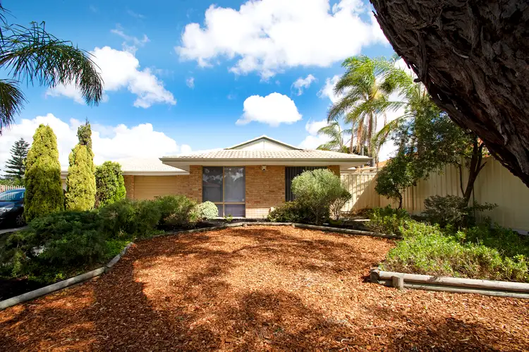 Second view of Homely semi-detached listing, 3A WHITCOMBE WAY, Alexander Heights WA 6064