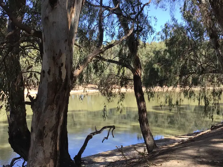 Fourth view of Homely rural property listing, Lot 1 Murraydale Road, Tyntynder VIC 3586
