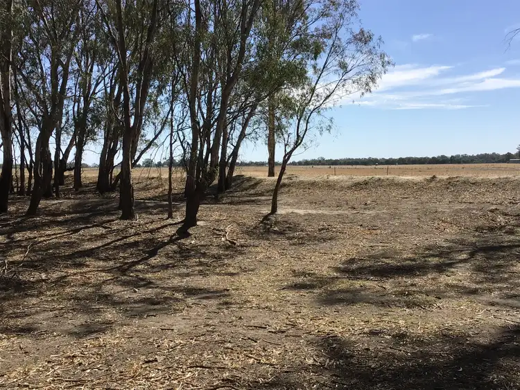Fifth view of Homely rural property listing, Lot 1 Murraydale Road, Tyntynder VIC 3586