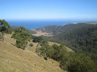 Main view of Homely rural property listing, 355 Wild Dog Access Track, Apollo Bay VIC 3233