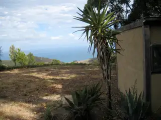Second view of Homely rural property listing, 355 Wild Dog Access Track, Apollo Bay VIC 3233