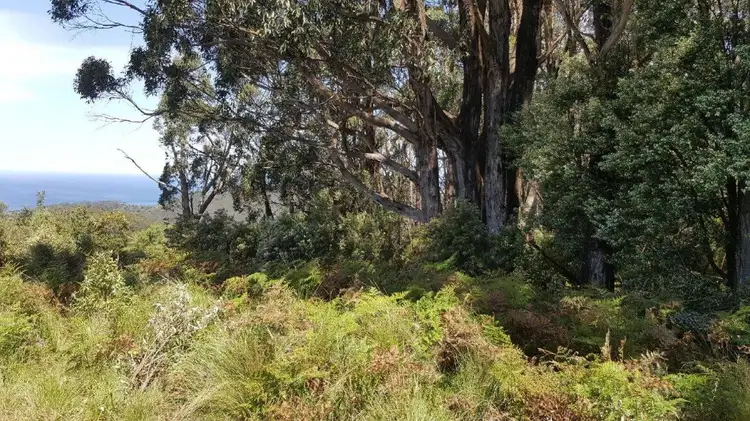 Fourth view of Homely rural property listing, 355 Wild Dog Access Track, Apollo Bay VIC 3233