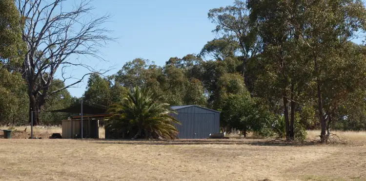 Main view of Homely land listing, 3272 Avoca-Bealiba Road, Bealiba VIC 3475
