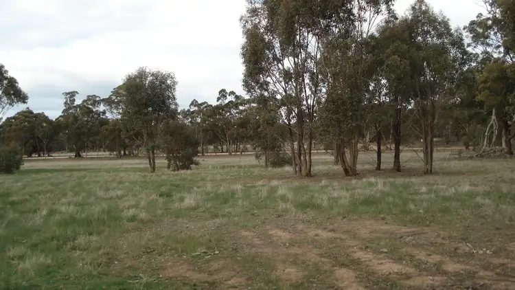 Fifth view of Homely land listing, 3272 Avoca-Bealiba Road, Bealiba VIC 3475