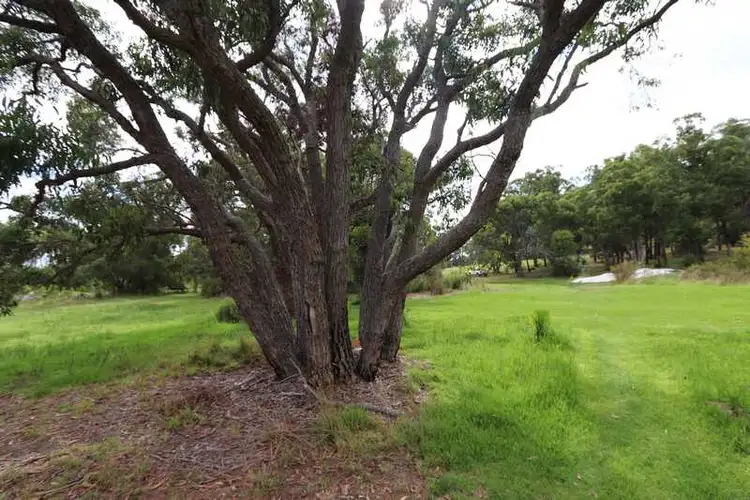 Sixth view of Homely rural property listing, 169 Tingledale Rd East, Denmark WA 6333