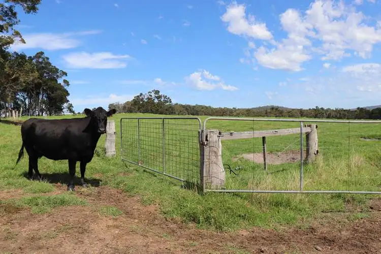 Fourth view of Homely rural property listing, 378 Hazelvale rd North, Denmark WA 6333