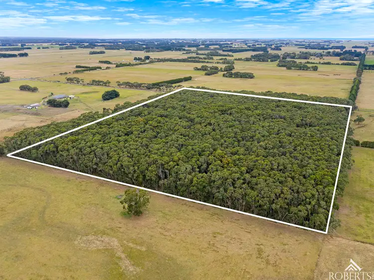 Main view of Homely rural property listing, LOT 1 TP813113 Moreys Road, Nullawarre VIC 3268