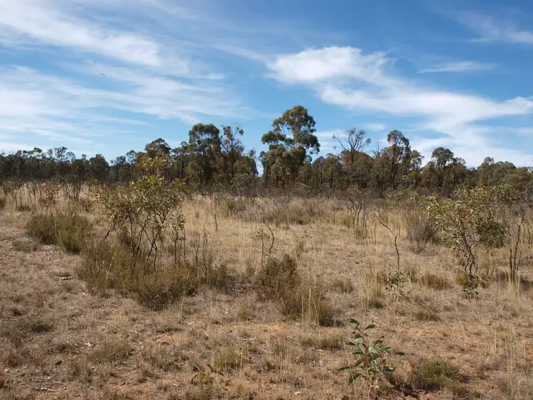 Sixth view of Homely land listing, 81 Smiths Road, Bealiba VIC 3475