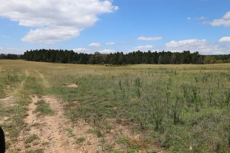 Sixth view of Homely rural property listing, Oallen Road, Nerriga NSW 2622