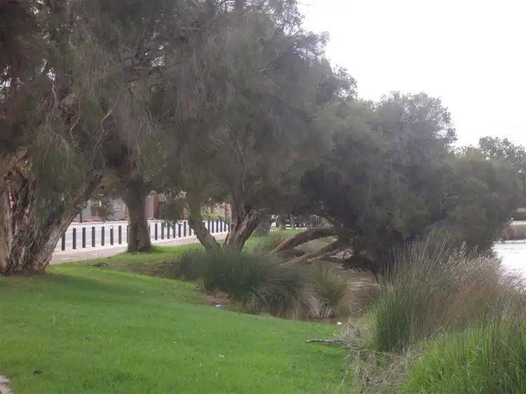 Fifth view of Homely house listing, 25 Strome Road, Applecross WA 6153