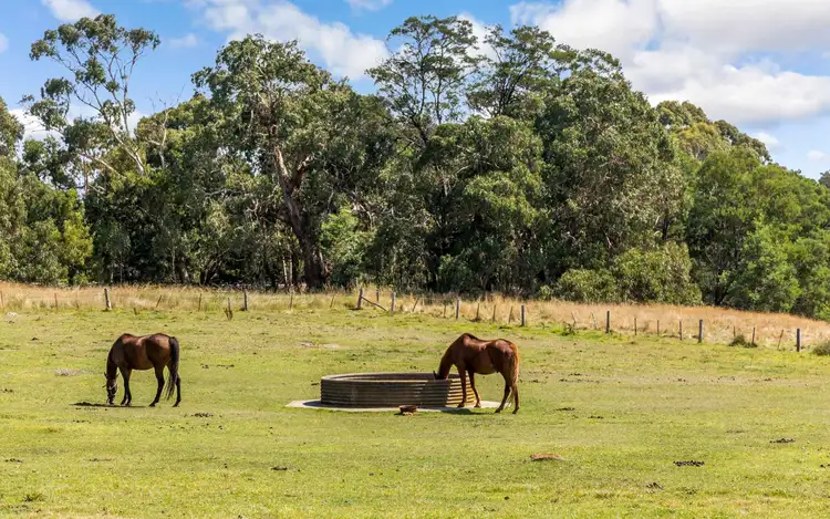 Sixth view of Homely rural property listing, 643 Melton Road, Gisborne VIC 3437