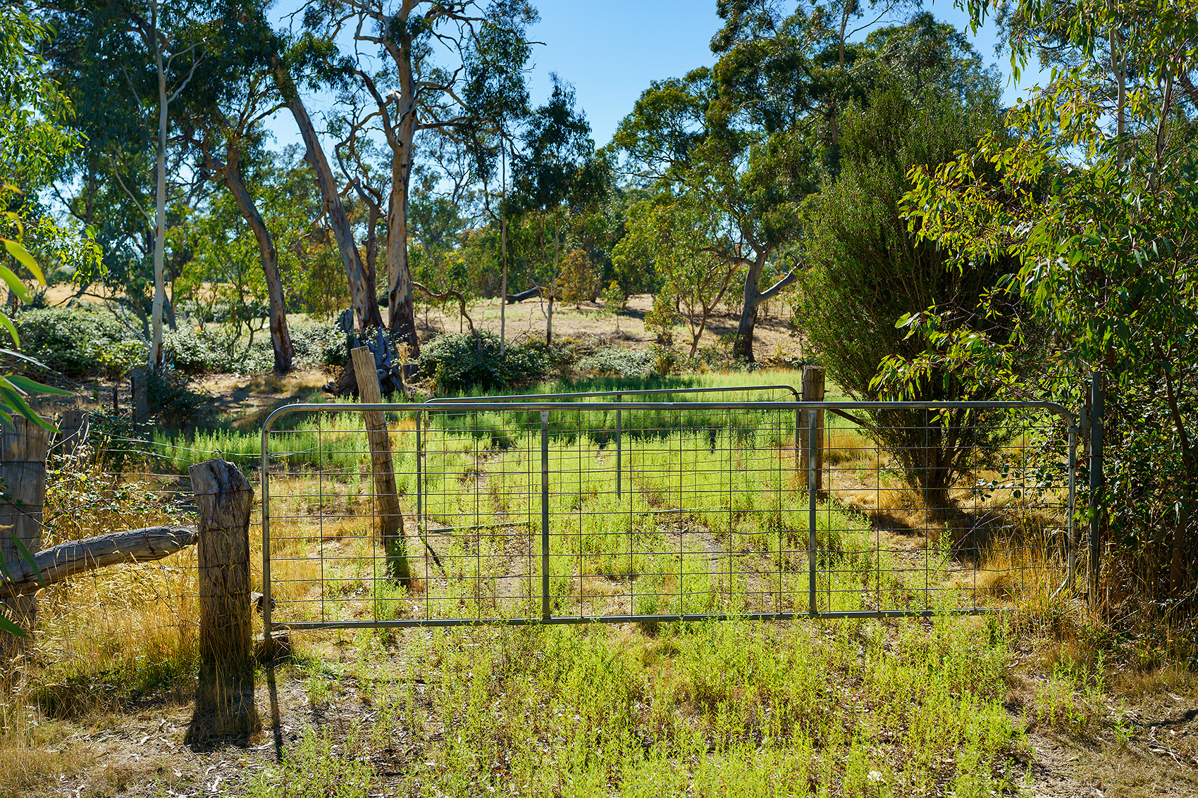 Sixth view of Homely land listing, 2930 Harmony Way, Faraday VIC 3451