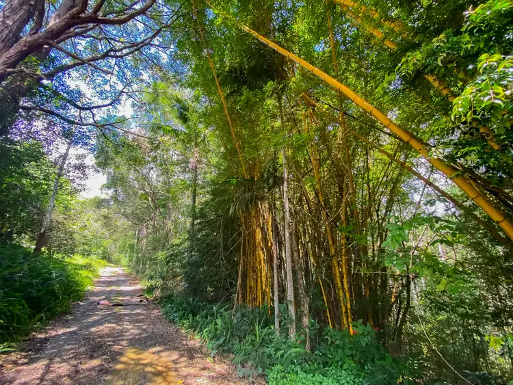 Fourth view of Homely rural property listing, 129 Mccaffreys Road, Hannam Vale NSW 2443