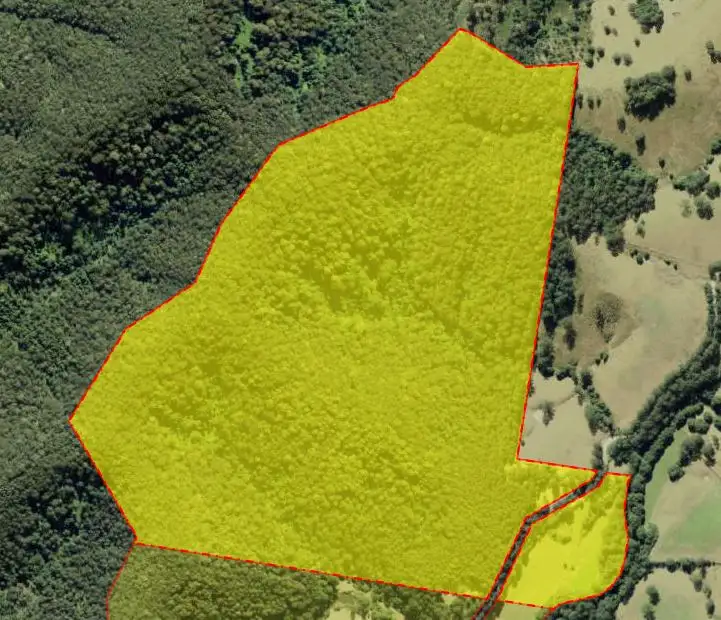 2829 Bulga Road, Bobin NSW 2429