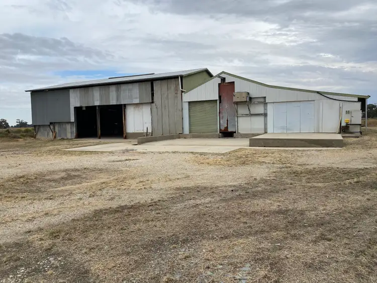 Fifth view of Homely rural property listing, 7997 Murray Valley Highway, Kerang VIC 3579