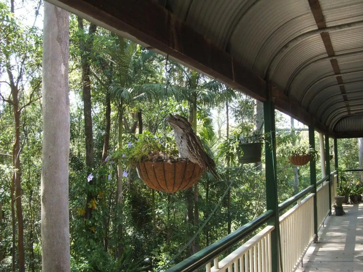 Main view of Homely house listing, 72 Hoop Pine Court, Advancetown QLD 4211