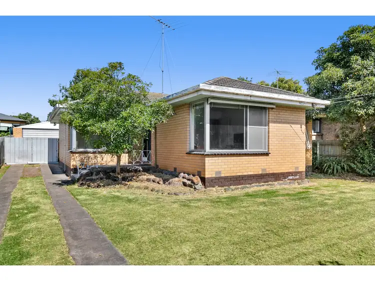 Main view of Homely house listing, 53 Kidman Avenue, Belmont VIC 3216