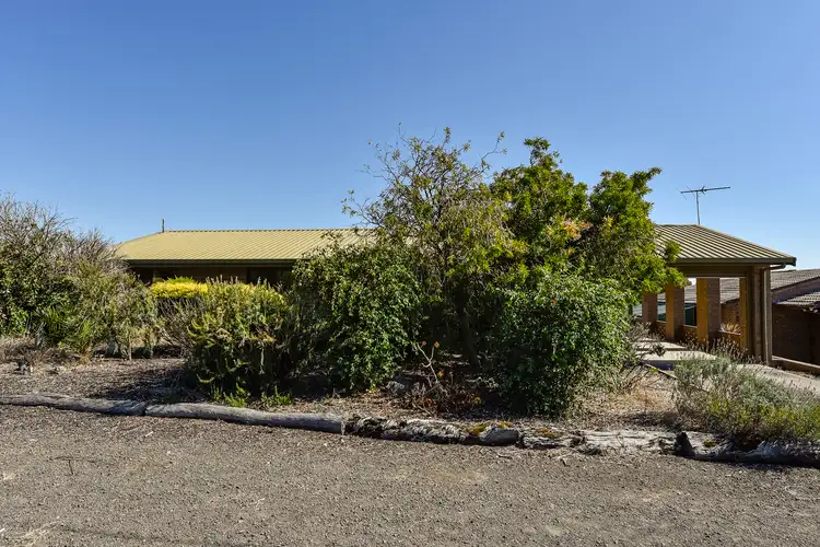 Main view of Homely house listing, 11 Thyne Street, Millicent SA 5280