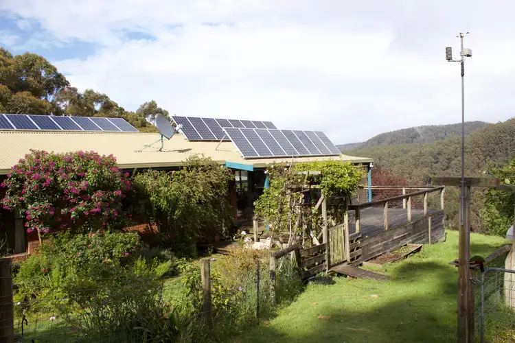 685 Wild Dog Road, Apollo Bay VIC 3233