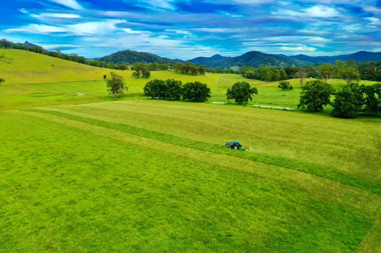 Fifth view of Homely rural property listing, 1012 Wherrol Flat Road, Wherrol Flat NSW 2429