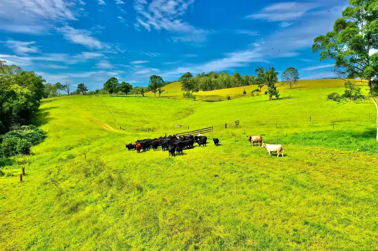 Sixth view of Homely rural property listing, 1012 Wherrol Flat Road, Wherrol Flat NSW 2429