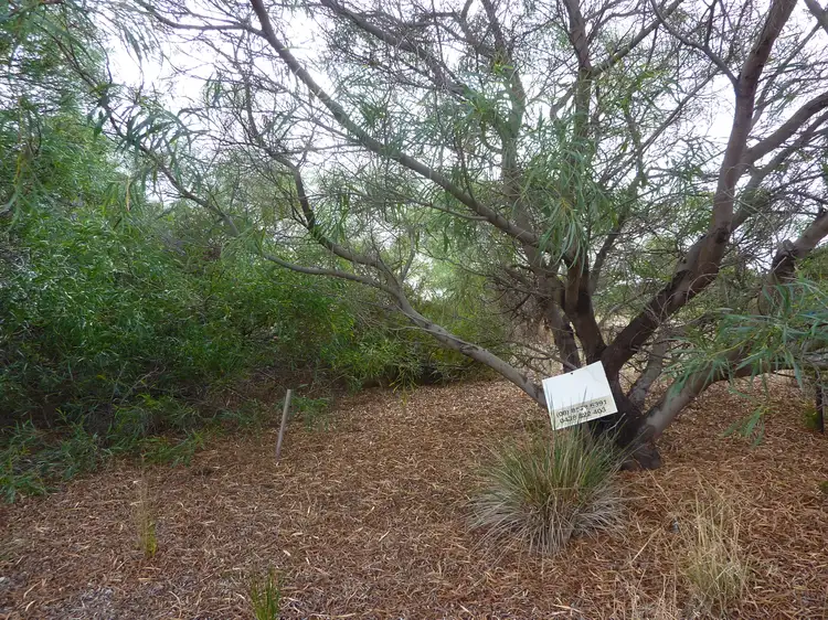 91 Alexandrina Drive