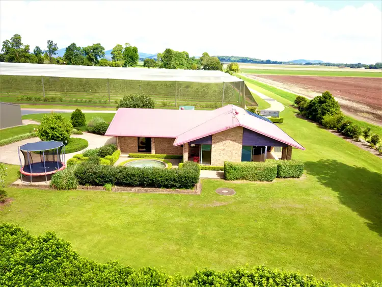 Second view of Homely rural property listing, 357 Marks Lane, Atherton QLD 4883