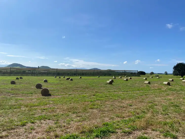 Third view of Homely rural property listing, 357 Marks Lane, Atherton QLD 4883
