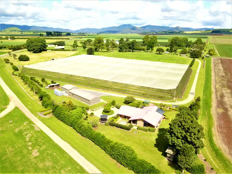 Fourth view of Homely rural property listing, 357 Marks Lane, Atherton QLD 4883