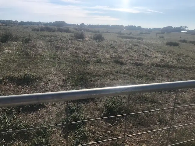 Second view of Homely land listing, Lot 24 Burks Island Road, Beachport SA 5280