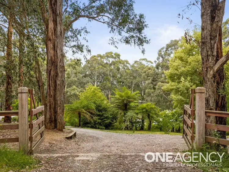 Fourth view of Homely rural property listing, 537 Gembrook Road, Pakenham Upper VIC 3810
