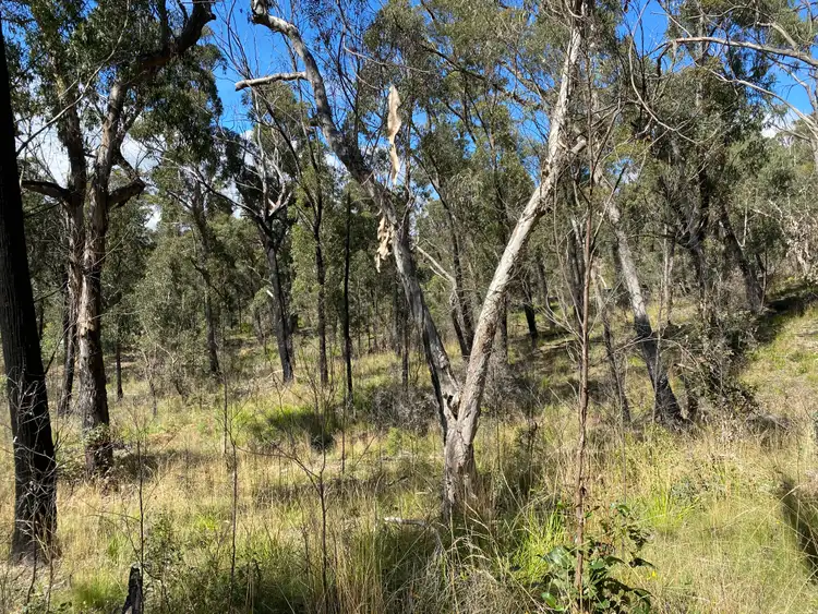 49 Salisbury Avenue, Mount Victoria NSW 2786
