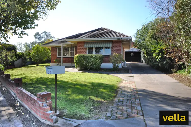 38 Douglas Street, Magill SA 5072
