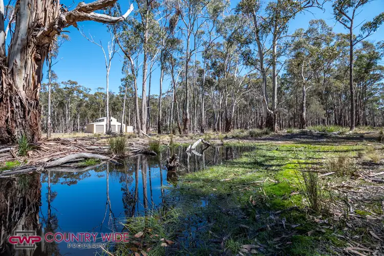 1261E Ten Mile Road, Deepwater NSW 2371